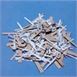 Bill Bands 2.75 x 0.5