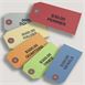 Coin Tags 2-3/8 x 4-3/4, 500 count