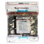 CoinLok Plastic Deposit Bags 12 x 20  Dual Handle (14.5 x 25) -100 Count